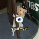 연세물류 | CU 신상 | 연세 깨먹는 하트 생크림빵 & 홍만당 쫀득 말차크림 모찌