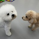 오로지몽