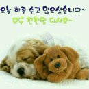 쓰리에이치 카페