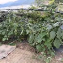 자연인관광펜션 | 통영펜션 자연인관광펜션