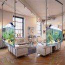 현대수족관 이미지