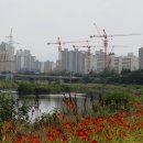 성북교 우측 이미지