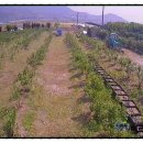 기용농장 이미지