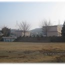 정미초등학교 Daum카페