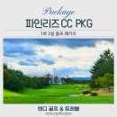 국도13호선 명품 소나무길 | 4월 5월 골프 여행의 정석, 고성 파인리즈cc 1박 2일 패키지 이거면 끝
