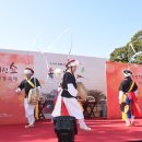 노거수 은행나무 축제의 속삭임 서울매일