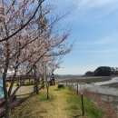 슬기로운 펜션 이미지