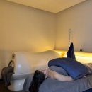 바디채널핏 독산점 | [정자역] 분당전신바디케어 더마름 분당정자점 예약관리 완벽한 TM핏 프로그램 받은 후기