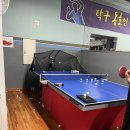 박민수탁구클럽 - 1537 | 박민수탁구클럽