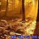 10월의 어느 멋진 날에 (김동규) 이미지