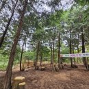 청사큰길 이미지