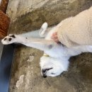 카페디아 - 34003 | 카페디아
