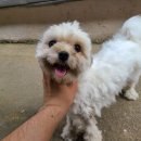 부곡파출소 이미지