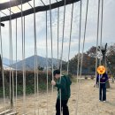 솔뫼식당 | 🍁 아산 외암마을 단풍 구경 + 솔뫼장터 방문 후기