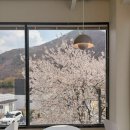 아부로스 | 벚꽃카페 부산근교 밀양 아부로스
