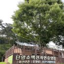 단양관광주식회사