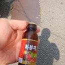 서상약국 Daum카페