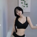맥심핏