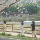 암곡와동경로당 이미지