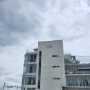 빈인더바스켓(Bean in the basket) 이미지