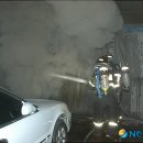 푸른축산물도매센타