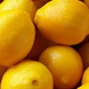 디딤카페 3호점 이미지