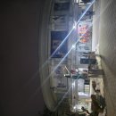 백제결혼정보 | [뮤지컬] 몽유도원 2026 관람 후기와 스토리 및 해설