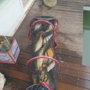 장자골낚시터 이미지