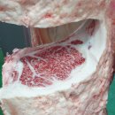 한우한마리 이미지