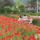 148/90세까지 펜션을 하셔야지요 이미지