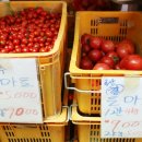 상은농장 이미지