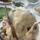 금빛가든 이미지