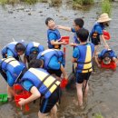 옥종초등학교 이미지