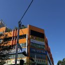 3459 | 대전꽃집 둔산동꽃집 연화플라워, 감성식물 화분 선물 추천