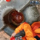 약수슈퍼 이미지