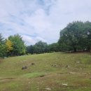 유포리목장 이미지