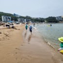 오도1리 이미지