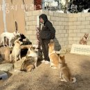 개뭉치반려견센터 - 여수시 충무로 73 | 개뭉치반려견센터