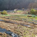 개울농장 이미지