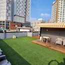 101애견유치원 이미지