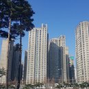헬리오 이미지
