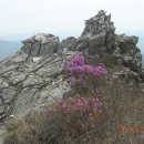 필봉민박 이미지