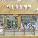 다솜동물병원 이미지