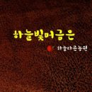 하늘빛담은농원