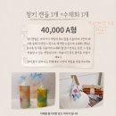 샤인플랜트 네이버블로그