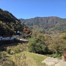 신촌지락 이미지