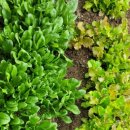 행복유치원 이미지