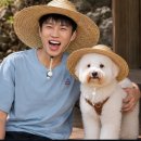 웰시킴 | [트헤헤] 산골총각 영웅 4회 후기! 임영웅X산골총각즈 케미 폭발✨ 괴란말이가 준 인생 감동😭 (ft. 웅표...