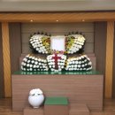 신화5호 이미지