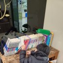 지오웰치과의원 이미지